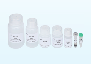 FREE DNA EXTRACTION KIT - Agna Healthcare
